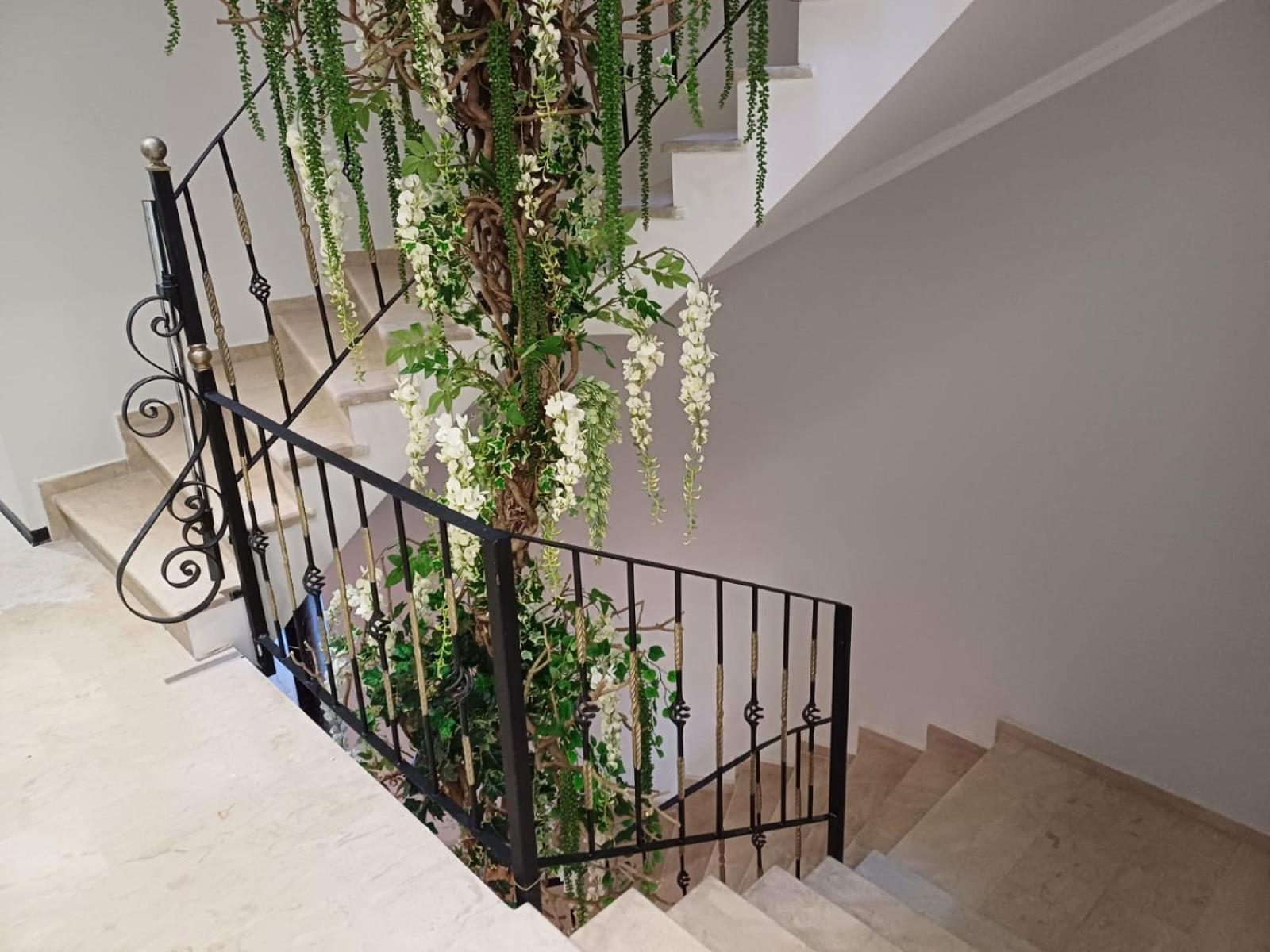Oxygen Boutique Hotel Τίρανα Εξωτερικό φωτογραφία